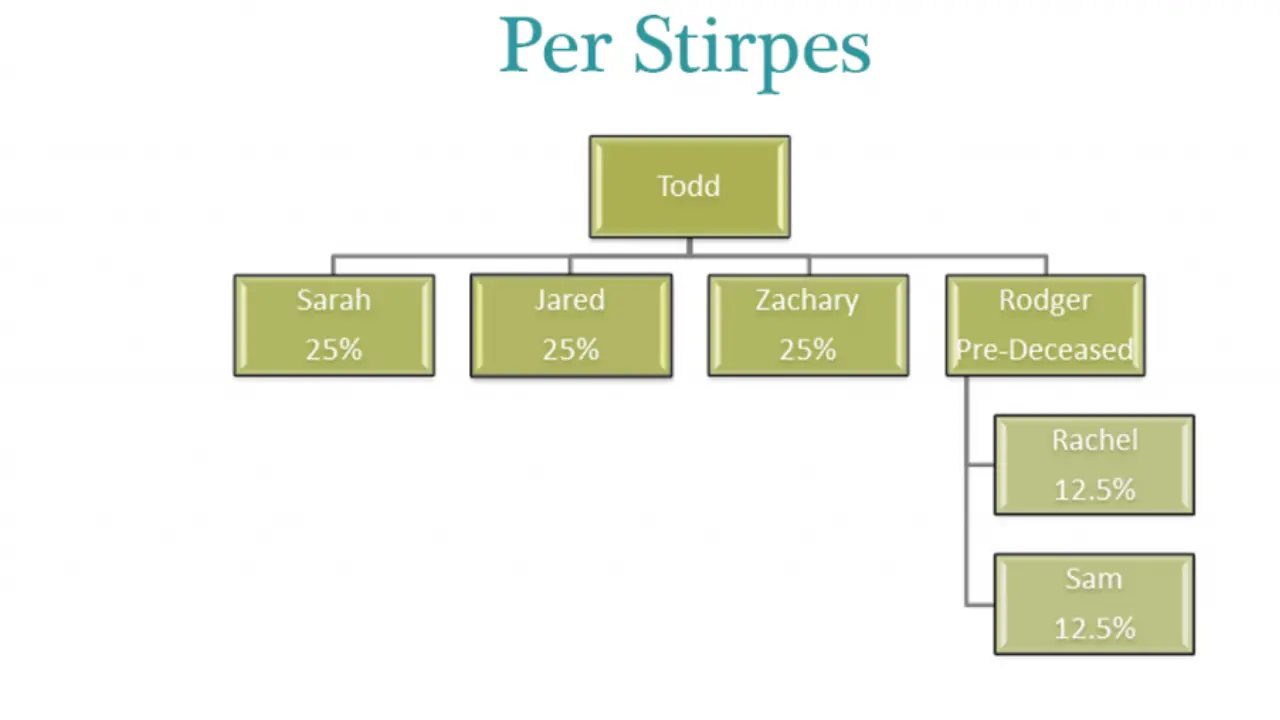 Per Stirpes Meaning